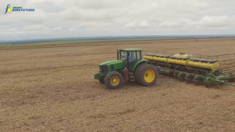 Colheita da Soja em Sapezal MT - Grupo Bom Futuro